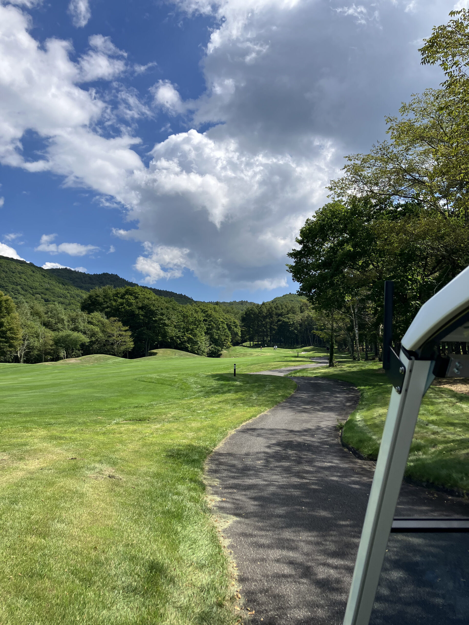 Nature Hills Karuizawa green approach