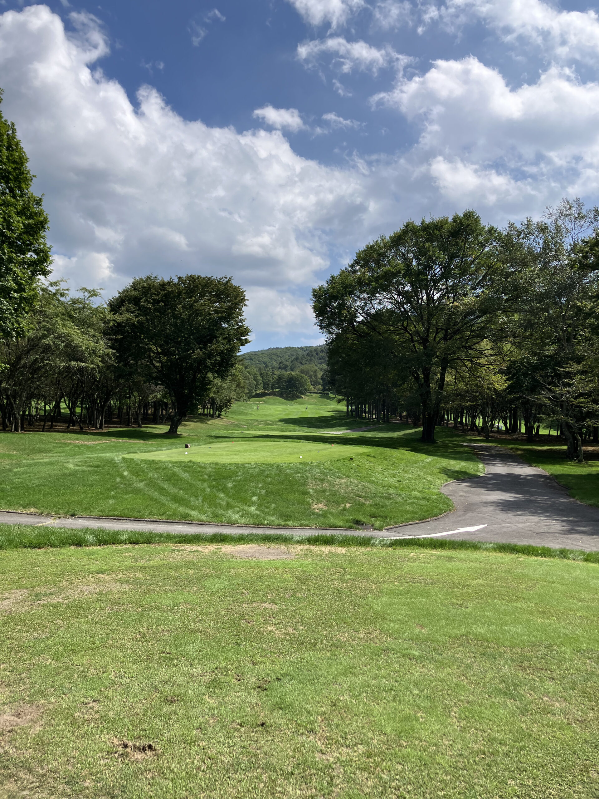 Nature Hills Karuizawa fairway view